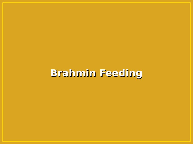 Brahmin Feeding