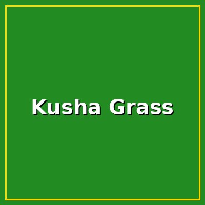 Kusha Grass